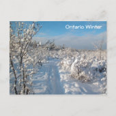 Winterlandschap - Briefkaart (Voorkant)