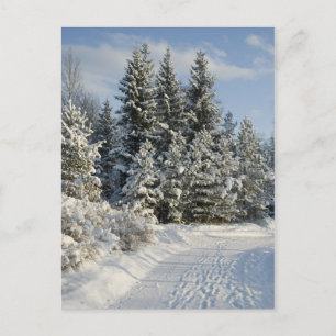 Winterlandschap Briefkaart