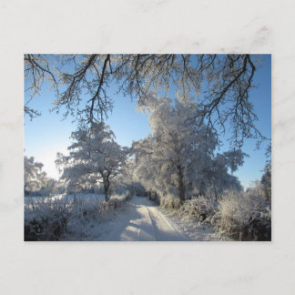 Winterlandschap: Cheshire Briefkaart