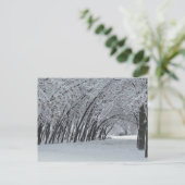 Winterlandschap Foto Briefkaart (Staand voorkant)