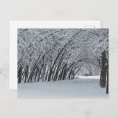 Winterlandschap Foto Briefkaart (Voorkant / Achterkant)