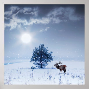 Winterlandschap in blauwe kleur. Eenzame boom en w Poster