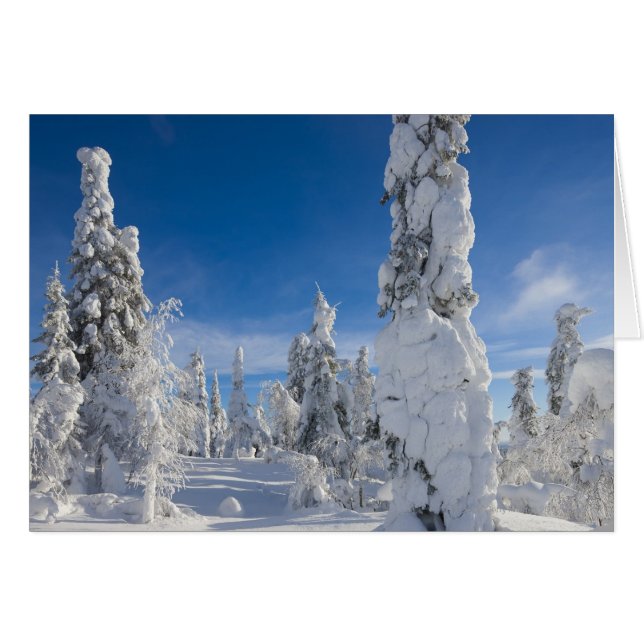 Winterlandschap in Lappland (Voorkant Horizontaal)