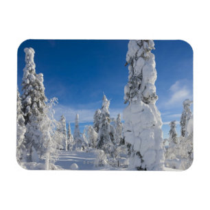Winterlandschap in Lappland Magneet