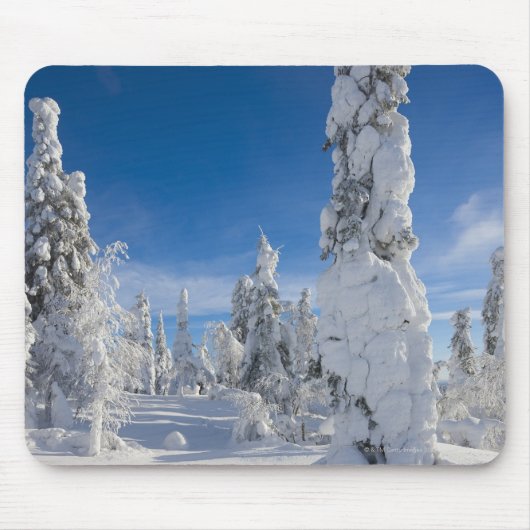 Winterlandschap in Lappland Muismat (Voorkant)