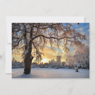 Winterlandschap in Letland