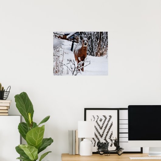 Winterlandschap met deer Value-Poster papier Poster (Thuiskantoor)