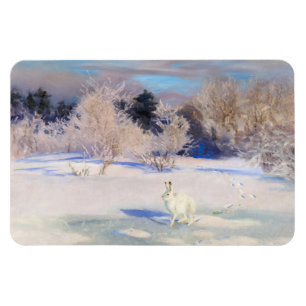 Winterlandschap met een witte haas van B. Liljefor Magneet