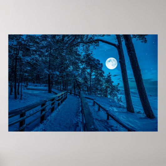 Winterlandschap met sneeuwbedekking met dennenbos poster (Voorkant)
