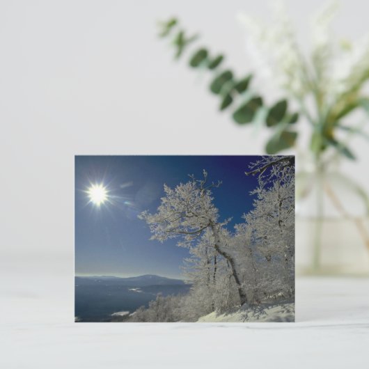 Winterlandschap, New England Briefkaart (Staand voorkant)