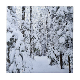 Winterlandschap Sneeuw in bos Tegeltje