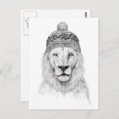 Winterleeuw (bw) briefkaart (Voorkant / Achterkant)