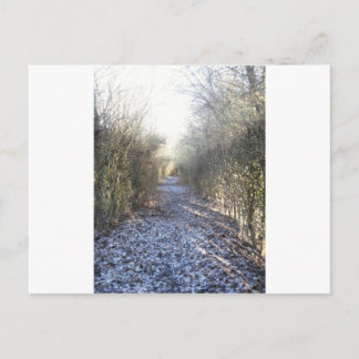 Winterloop Briefkaart
