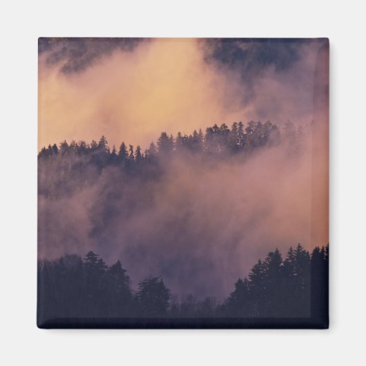 Wintermist in vallei bij zonsondergang van Morton Magneet (Voorkant)