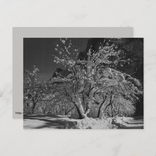 Winternachttijd Briefkaart (Voorkant / Achterkant)