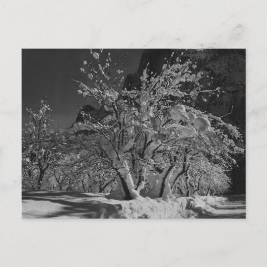 Winternachttijd Briefkaart (Voorkant)