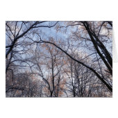 Winterochtend II Natuur Landschap (Voorkant Horizontaal)