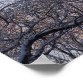 Winterochtend II Natuur Landschap Poster (Hoek)