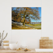 Winterochtend Poster (Keuken)