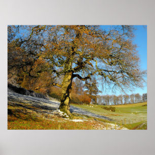 Winterochtend Poster