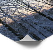 Winterochtendlicht I Poster (Hoek)