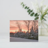 Winterochtendzonopstand Briefkaart (Staand voorkant)
