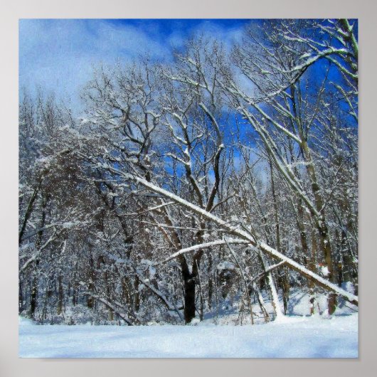 Winterolie van Storm Poster (Voorkant)