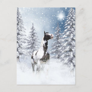 Winterpaard Briefkaart