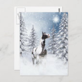 Winterpaard Briefkaart (Voorkant / Achterkant)