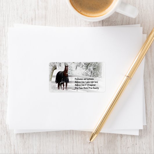 Winterpaard Etiket (Insitu)