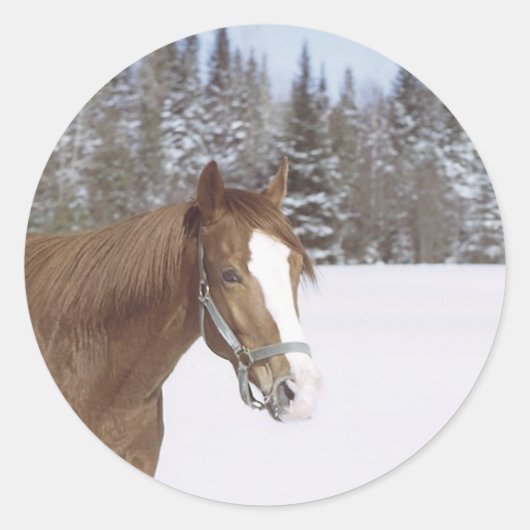 Winterpaard Ronde Sticker (Voorkant)