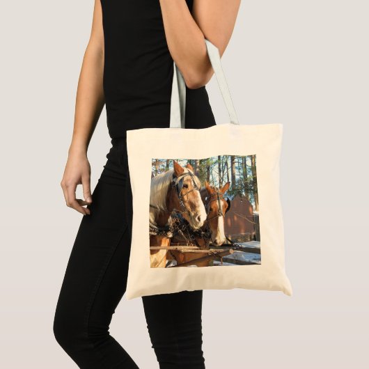 Winterpaarden bij de Canvas tas van het dorp Sturb (Voorkant (product))