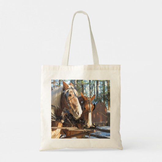 Winterpaarden bij de Canvas tas van het dorp Sturb (Achterkant)