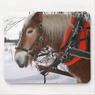 Winterpaarden Muismat