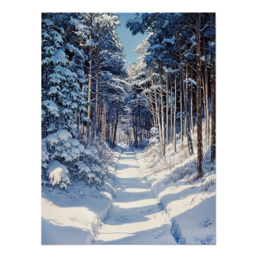 Winterpad Perfect Poster (Voorkant)