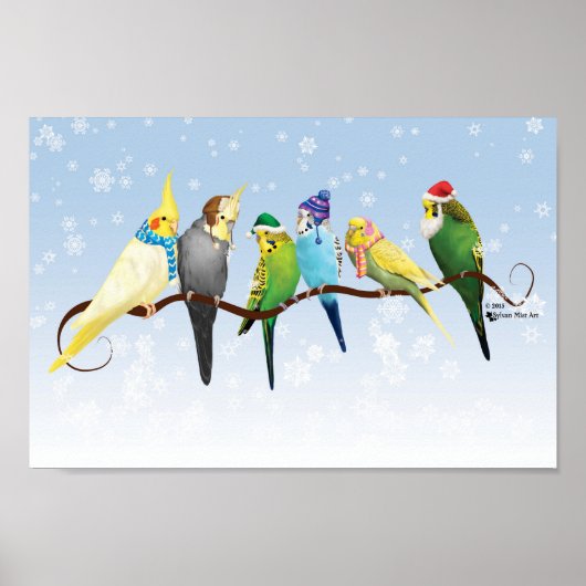 Winterparakeets en krokodillen poster (Voorkant)