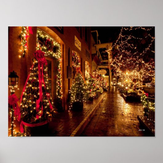 winterpark in florida poster (Voorkant)