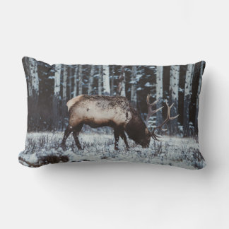Winterpijl in berkenbos decoratieve kussen
