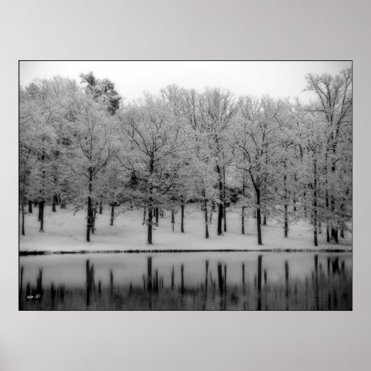 Winterreflecties Poster (Voorkant)