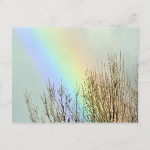 Winterregenboog Briefkaart