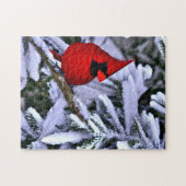 Winterrode kardinaal legpuzzel (Horizontaal)