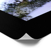 Winterrode kardinaal poster (Hoek)