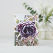 WinterRoos2 Briefkaart (Staand voorkant)