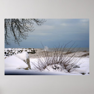 Winter's Beauty Poster