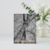 Winters Bite over het Briefkaart van Trees Bark Pe (Staand voorkant)