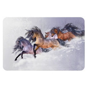 Winter's Flight Premium Flexi Magnet Magneet