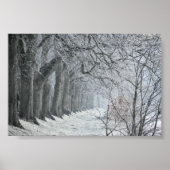 Winters Morning Poster (Voorkant)