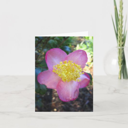 Winters Star Camelia Foto gevouwen Note Kaart (Voorkant)