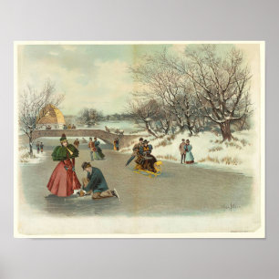Winter's vreugde in Central Park Poster