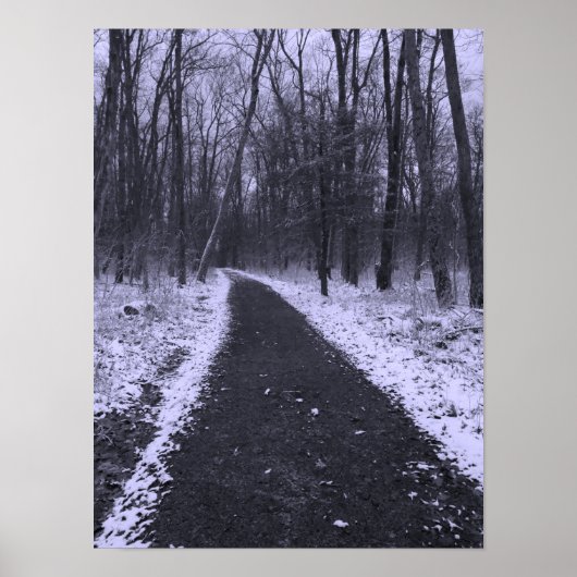 Winters wandeling poster (Voorkant)